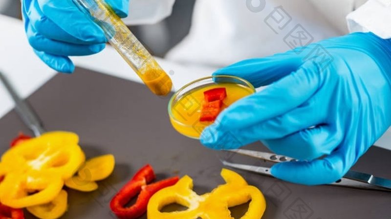 手工糖果的匠心独运：揭秘批发价格背后的秘密
